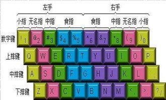 键盘打字指法指南 每根手指的正确分工